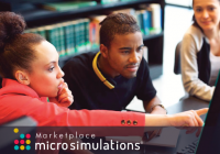 Microsimulations for Business Education