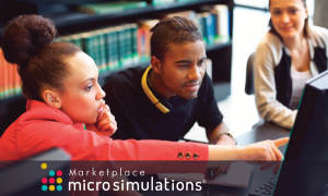 microsimulations