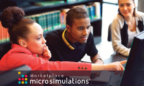 Microsimulations for Business Education