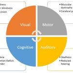 Visual-Motor-Cognitive-Auditory