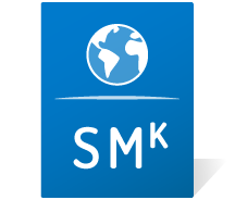 Strategic marketing simulation logo